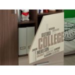 Шкаф "Колледж" комбинированный